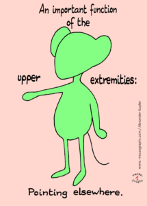 Read more about the article Mousographs #177 “Pointing elsewhere”
