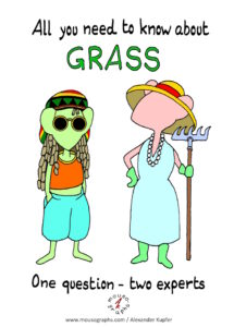 Read more about the article Mousographs #202 “All you need to know about Grass”