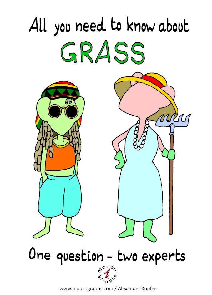 You are currently viewing Mousographs #202 “All you need to know about Grass”