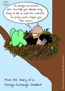 Read more about the article Mousographs #118 “From the Diary of a Foreign Exchange Student”